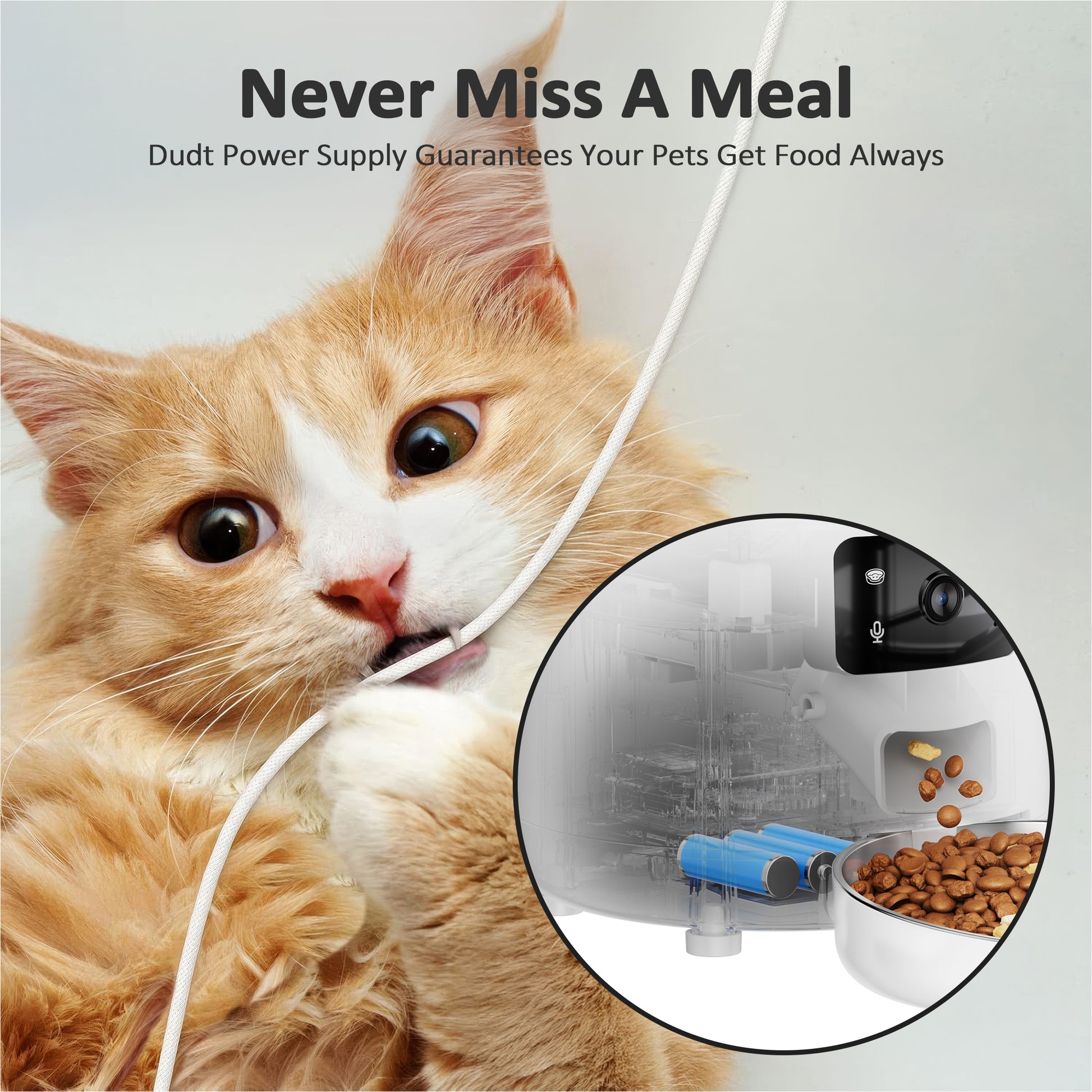 VANECL Automatic Cat Feeders with 304 Stainless Steel Bowl,4L Automatic Cat Food Dispenser with 1080P Camera,Tuya 2.4G&5G WIFI APP Remote Timed Feeding with Voice Call,Dual Power Supply